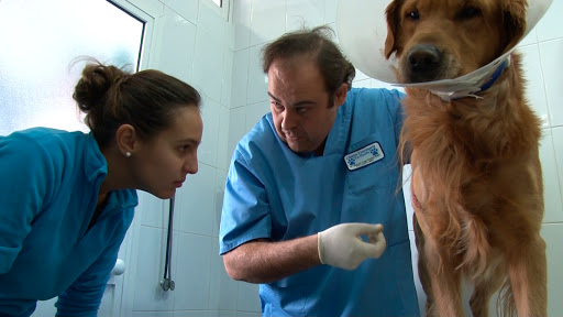 Clínica Veterinaria La Huella (Bormujos) en Bormujos