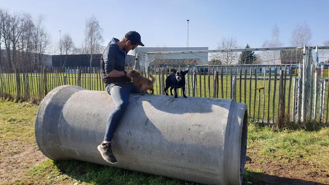 Beoordelingen van Hondenweide Verbrande Brug in Brussel - Hondentrainer