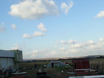 Marmara eşek çiftliği