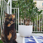 Photo n°1 de l'avis de francesco.i fait le 12/09/2021 à 12:45 sur le  Villa Cettina Boutique Hotel à Sorrento