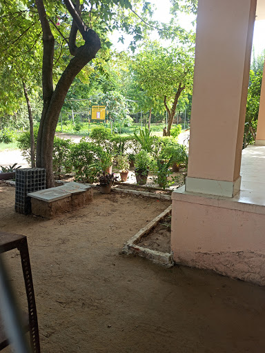 Jagatpura Govt Nursery