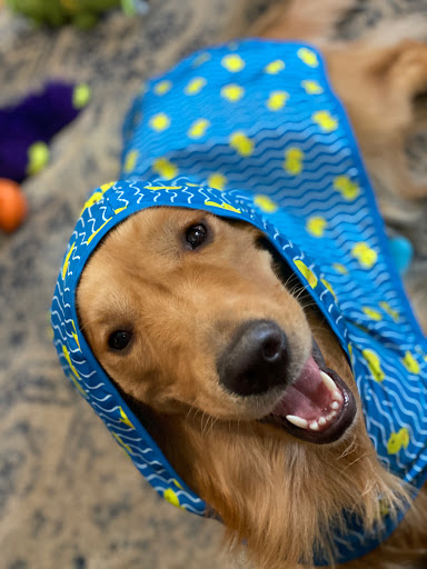 Muller Veterinary Hospital image