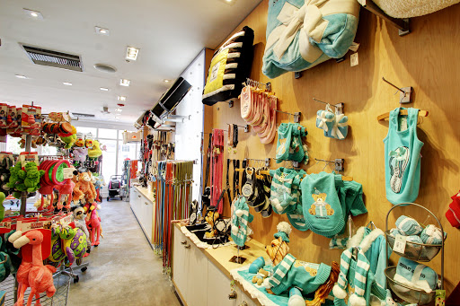 Pet Supply Store «Dog Bar», reviews and photos, 1684 Jefferson Ave, Miami Beach, FL 33139, USA