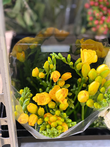 Distribuidora de Flores Puerto Varas - Floristería