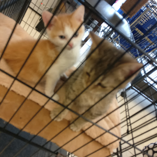 Pet Store «Delhi Pet Center», reviews and photos, 5665 Rapid Run Rd, Cincinnati, OH 45238, USA