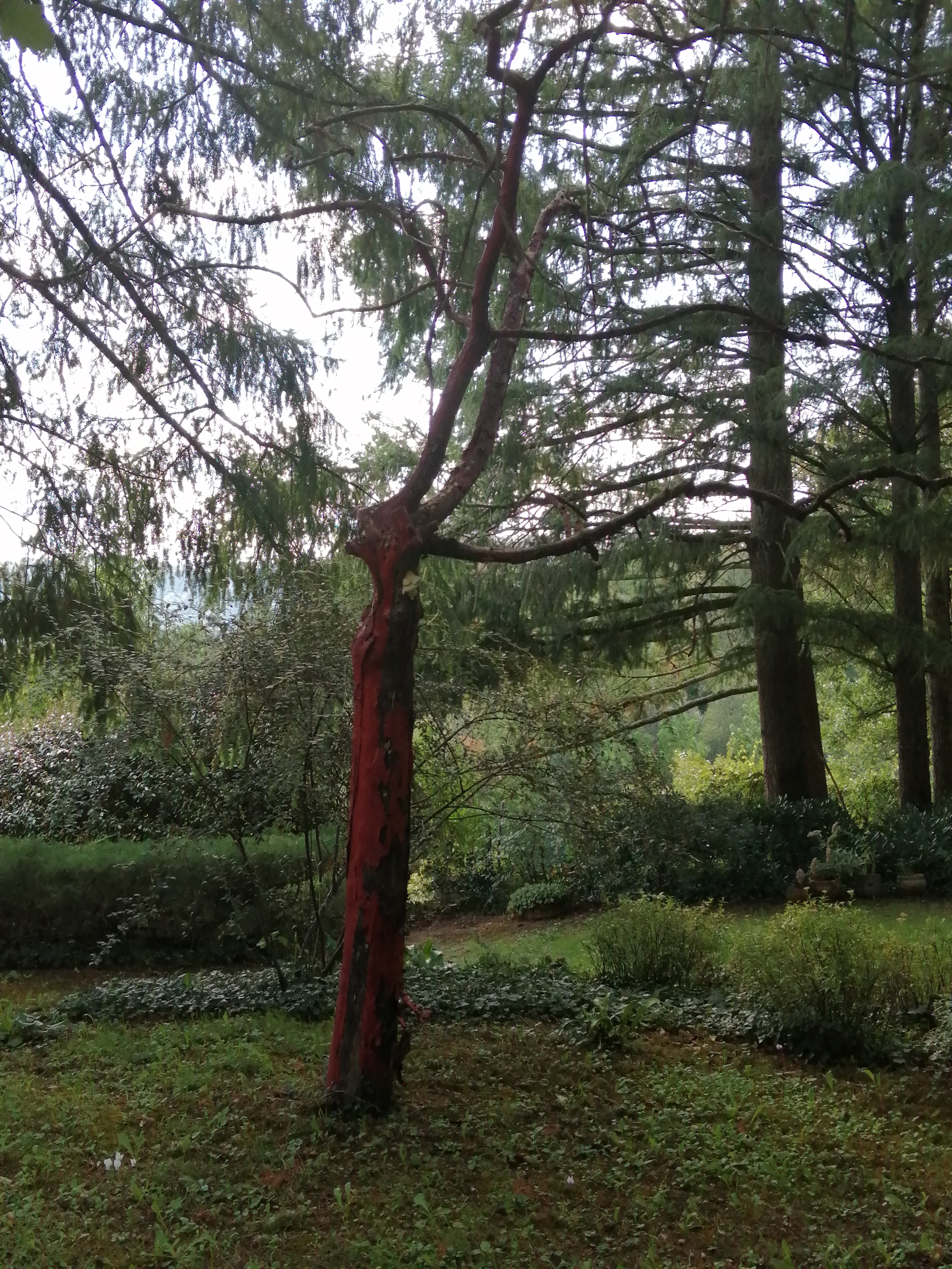 Photo n° 3 de l'avis de wendeke. fait le 19/09/2022 à 14:13