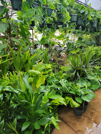 Florist «Little Eden Plantscaping», reviews and photos, 15550 W 72nd Ave, Arvada, CO 80007, USA