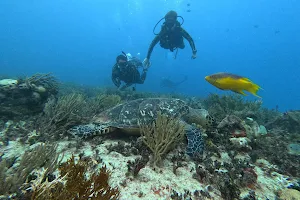 Triton diving mexico plongée image