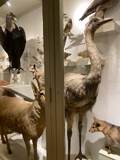 Natural History Museum «Harvard Museum of Natural History», reviews and photos, 26 Oxford St, Cambridge, MA 02138, USA