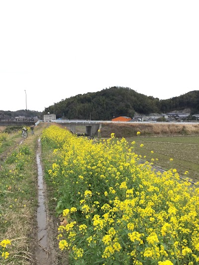 ＧＴボディ