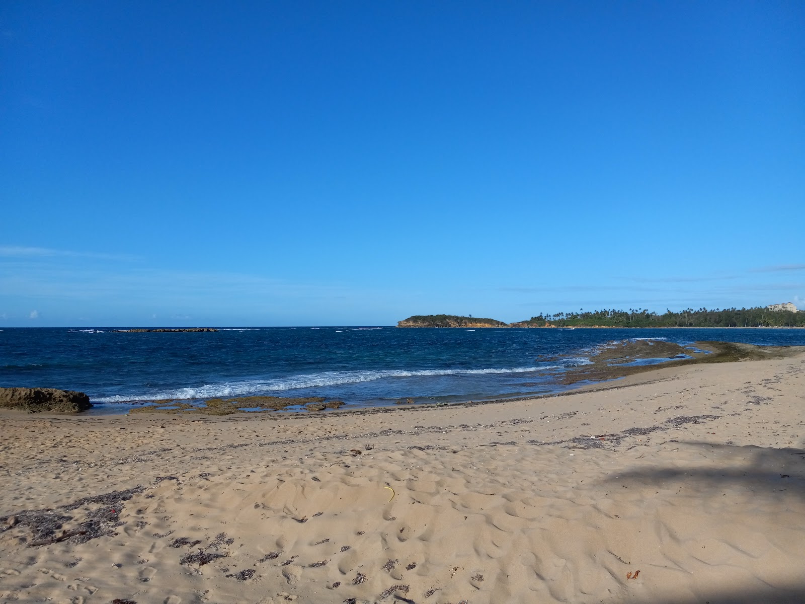 Playa Vega Alta'in fotoğrafı biraz temiz temizlik seviyesi ile