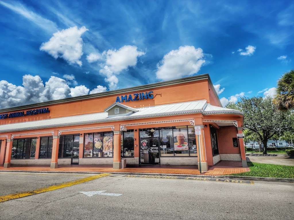 Amazing Thai Japanese 33029