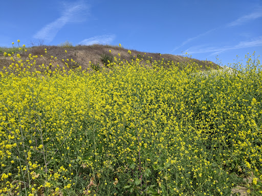 Park «Carbon Canyon Regional Park», reviews and photos, 4442 Carbon Canyon Rd, Brea, CA 92823, USA