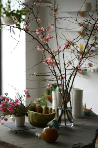 Florist «Fern Croft Floral», reviews and photos, 291 Bryant St, Buffalo, NY 14222, USA