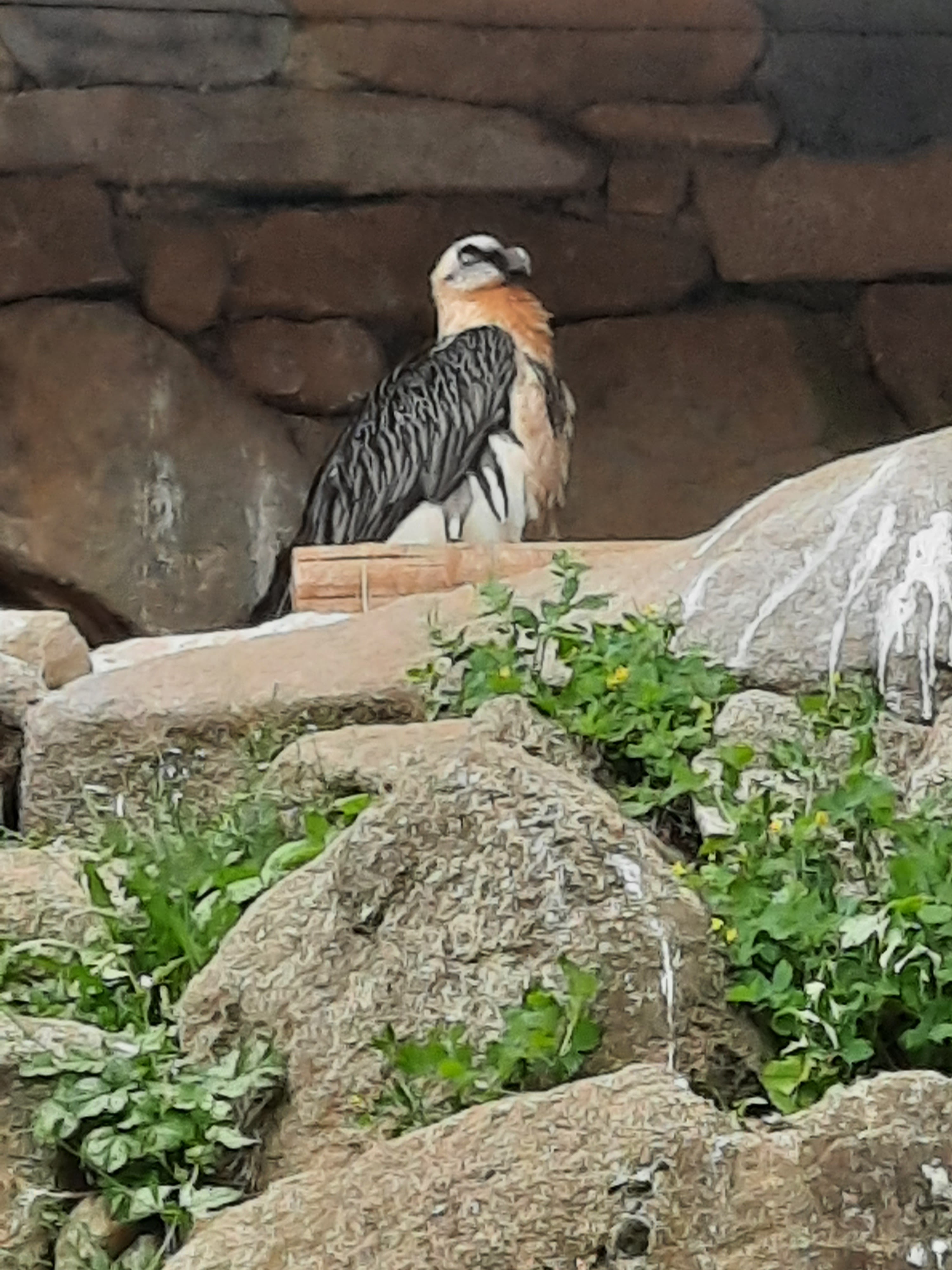 Photo n° 2 de l'avis de Patrice.e fait le 24/08/2021 à 15:58