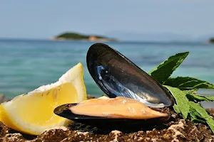 Mussel Sailing Tour with Food and Drink Tasting in Albania image