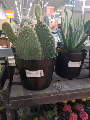 Home Improvement Store «The Home Depot», reviews and photos, 4155 N Port Washington Rd, Milwaukee, WI 53212, USA