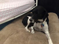 Lap of Luxury - Photo 8 - Car repair in Shreveport, LA, Shreveport