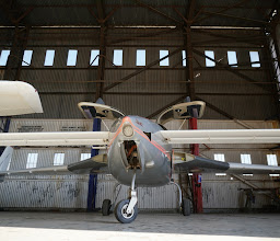 Rand Airport photo