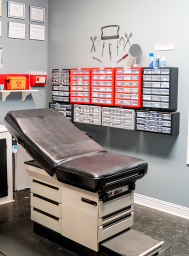 Explore hammerhead shark tattoo ideas, creative tattoo ideas in Charleston, available at Exotic Impressions Body Piercing