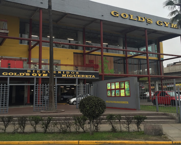 Opiniones de Gold's Gym en Santiago de Surco - Gimnasio