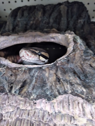 Pet Supply Store «PetSmart», reviews and photos, 1945 Pavilion Way, Lexington, KY 40509, USA