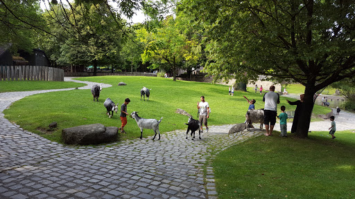 Parks gehören zu Hunden Munich