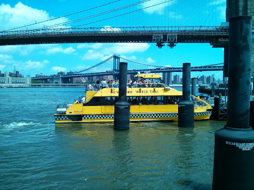 Park «Brooklyn Bridge Park», reviews and photos, 334 Furman St, Brooklyn, NY 11201, USA