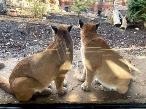 Zoo «Turtle Back Zoo», reviews and photos, 560 Northfield Ave, West Orange, NJ 07052, USA