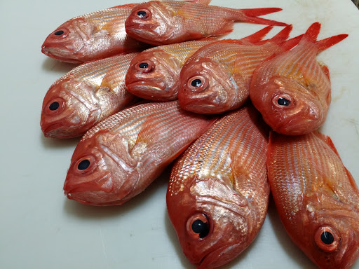 Aquarius Fish Co
