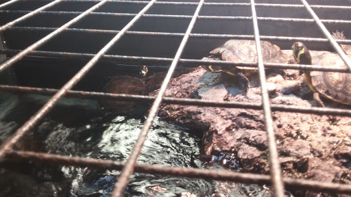 Pet Supply Store «Petco Animal Supplies», reviews and photos, 1753 St Lucie W Blvd, Port St Lucie, FL 34986, USA