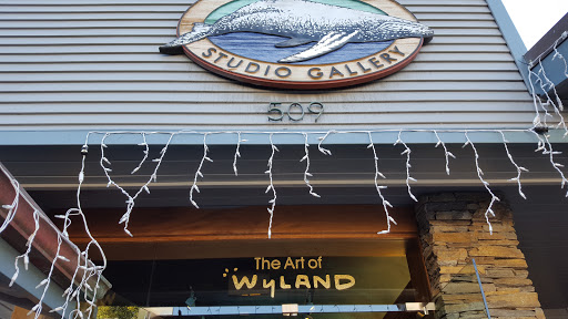 Art Gallery «Wyland Galleries LLC», reviews and photos, 509 S Coast Hwy, Laguna Beach, CA 92651, USA