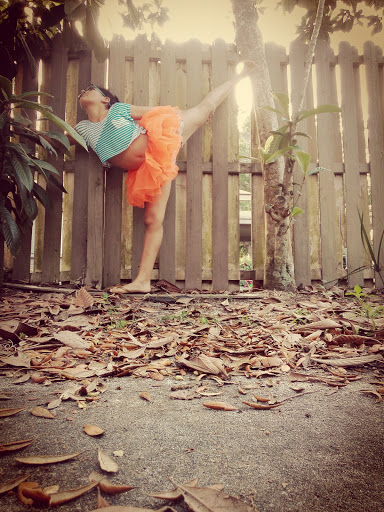 Park «Lincoln Avenue Community Park», reviews and photos, 1200 N Unser St, Mt Dora, FL 32757, USA