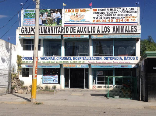 Tiendas pajaros Puebla