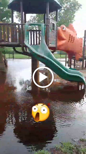 Community Center «Volunteer Park Community Center», reviews and photos, 12050 W Sunrise Blvd, Plantation, FL 33323, USA