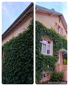 les 2 mains du bâtiment 