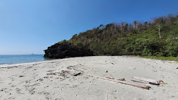 Fotografie cu Gray sand beach zonă sălbatică