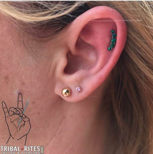 Explore t rex tattoo ideas, creative tattoo ideas in Broomfield, available at Tribal Rites Tattoo and Piercing Westminster