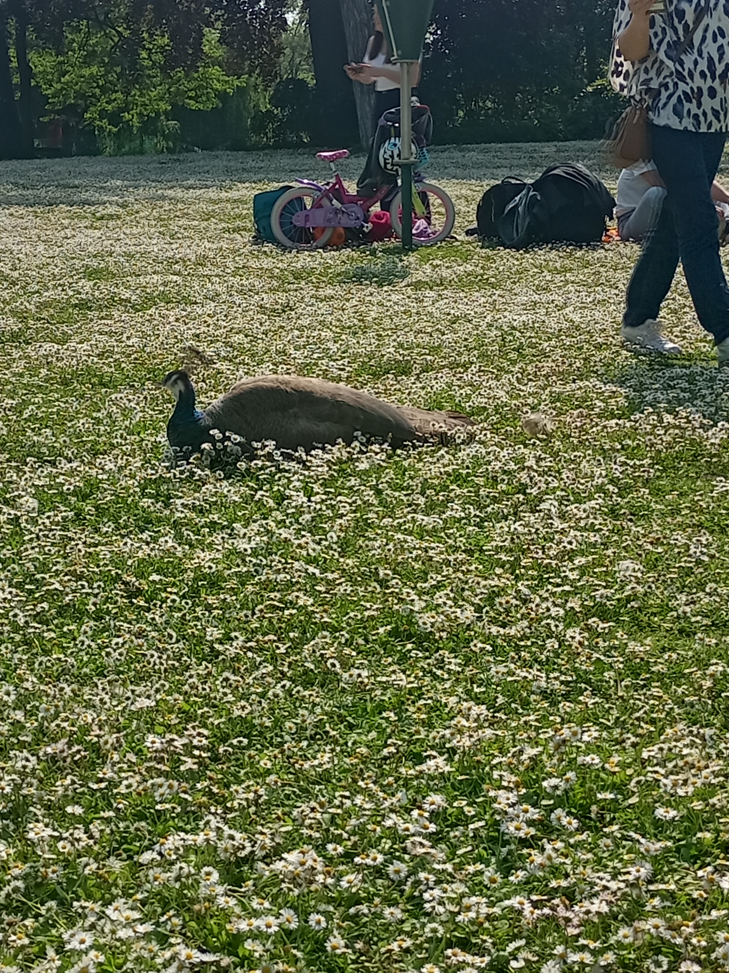 Photo n° 6 de l'avis de LUCIE.P fait le 16/05/2023 à 18:58