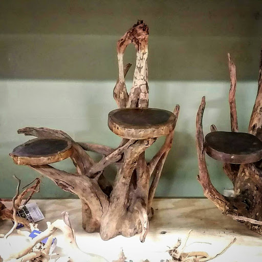 Pet Store «Gills And Thrills Pet Shop», reviews and photos, 204 E 8th St, Lockport, IL 60441, USA