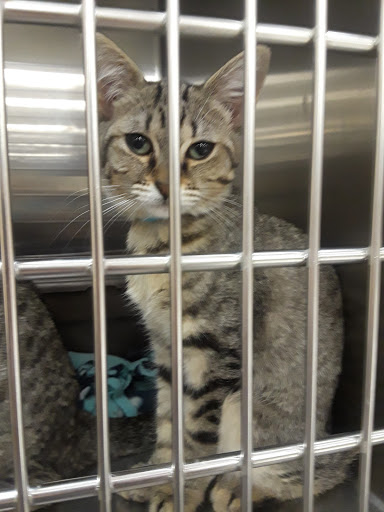 Pet Supply Store «PetSmart», reviews and photos, 13000 Aurora Ave N, Seattle, WA 98133, USA