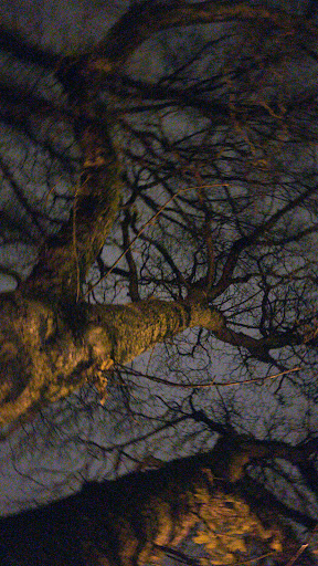 Park «Couch City Park», reviews and photos, 1961 NW Glisan St, Portland, OR 97209, USA