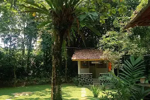 Rumah Baca Taman Semesta image