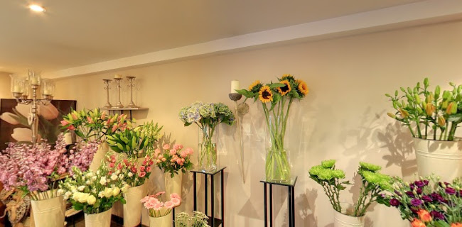 Reviews of Clifton Flowers in Bristol - Florist