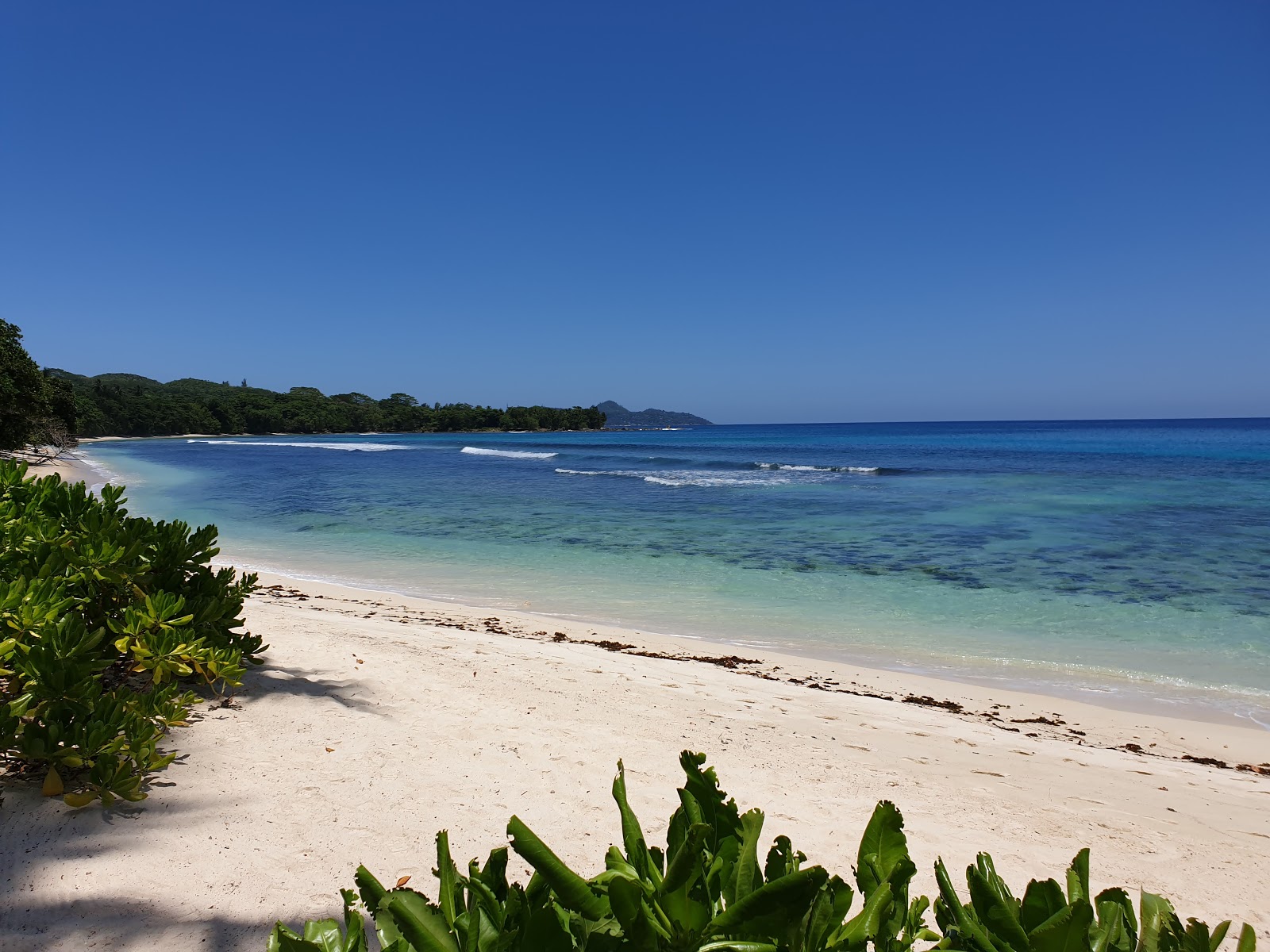 Anse Barbarons Beach'in fotoğrafı ve yerleşim