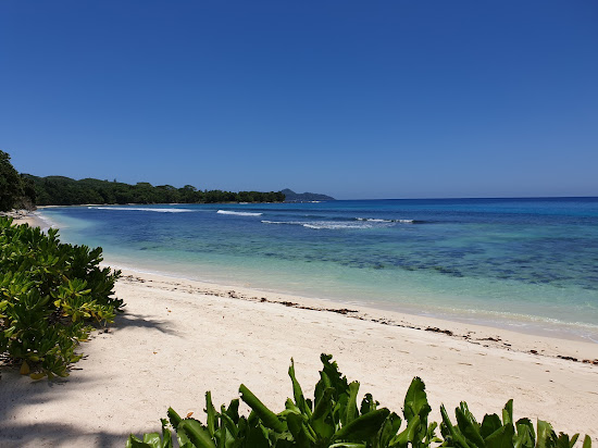 Anse Barbarons Beach