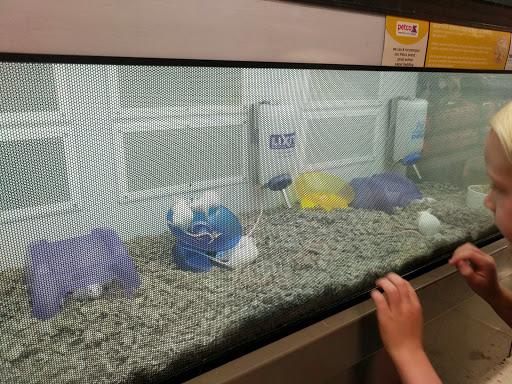 Pet Supply Store «Petco Animal Supplies», reviews and photos, 516 Valley Mall Pkwy, East Wenatchee, WA 98802, USA