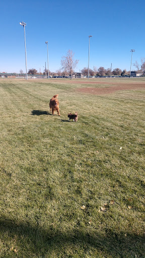 Baseball Field «Highline Park & Ballfields», reviews and photos, 70 S Peoria St, Aurora, CO 80012, USA