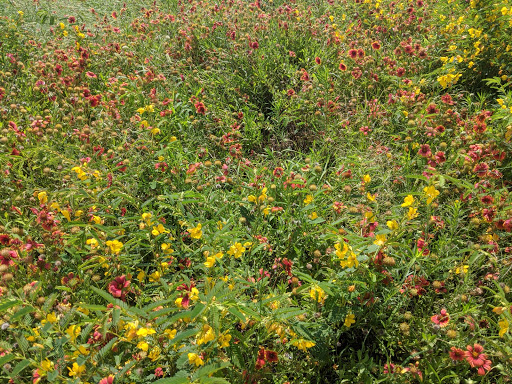 Aquarium «Oklahoma Aquarium», reviews and photos, 300 Aquarium Dr, Jenks, OK 74037, USA