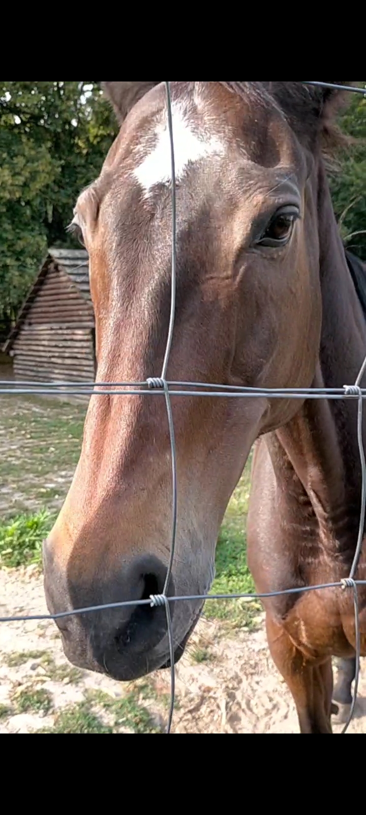 Photo n° 24 de l'avis de Muskan.e fait le 19/08/2021 à 00:44
